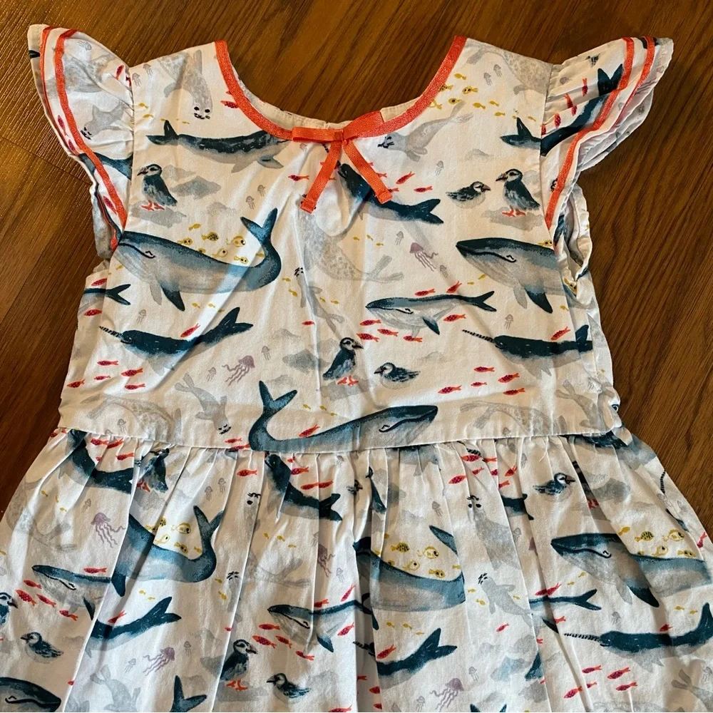 Genuine kids by osh kosh size 4 sea creatures dress - Picture 2 of 5